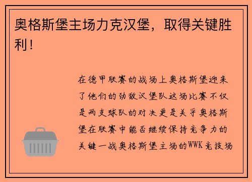 奥格斯堡主场力克汉堡，取得关键胜利！